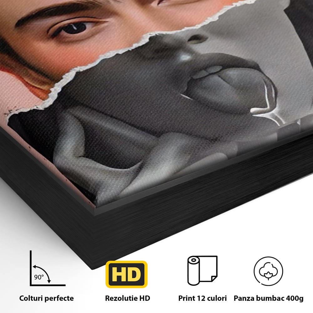 Detaliu al suprafetei: tablou canvas cu portret collage, in rama de aluminiu negru
